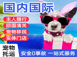 两江机场快运国际宠物托运 【国